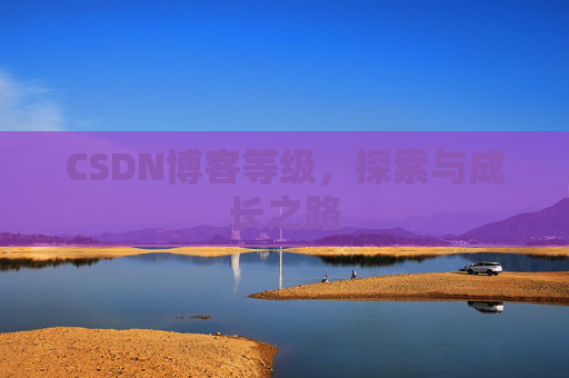 CSDN博客等级，探索与成长之路
